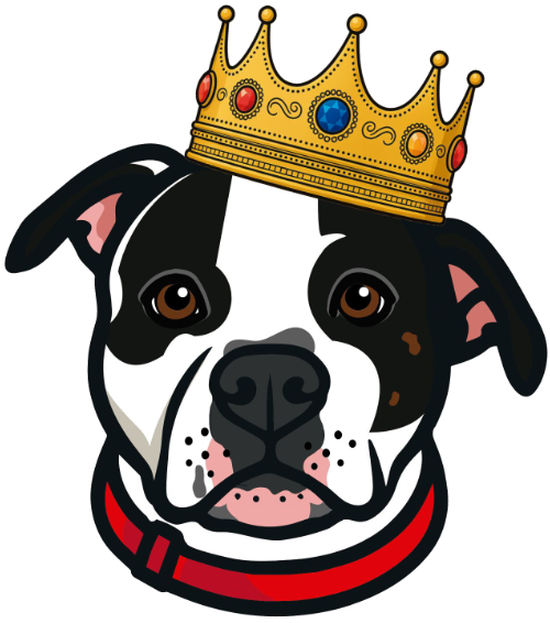 Graphic Design for King Koopa