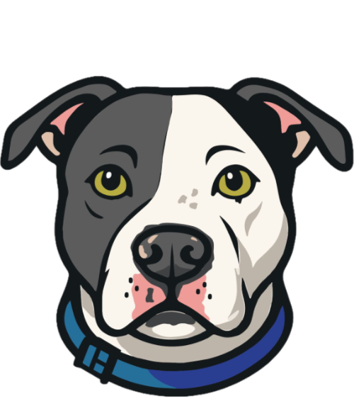 Graphic Design for Maverick